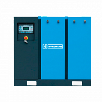 картинка Винтовой компрессор Hansmann RS30A-10 компании Нова Механика